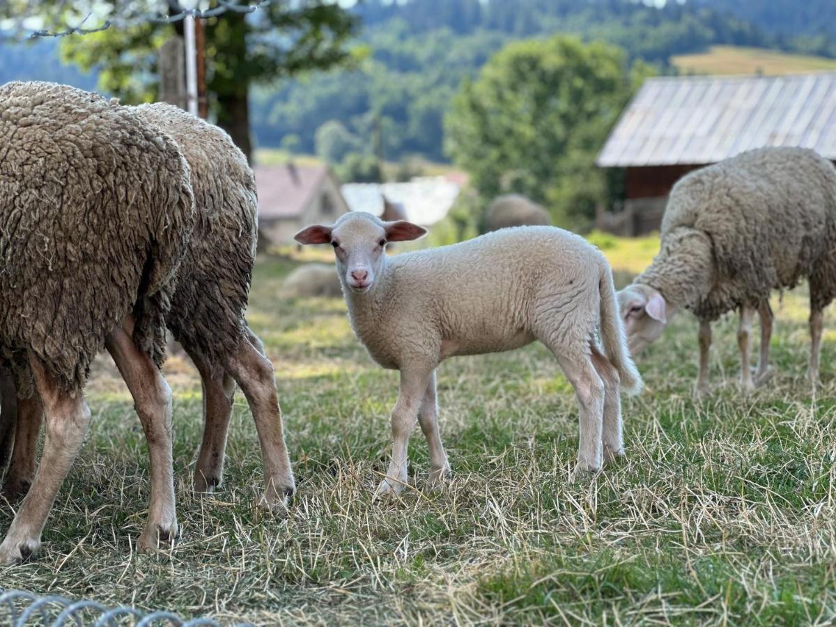 Penzion Hrubjak Oravská Polhora Exterior foto
